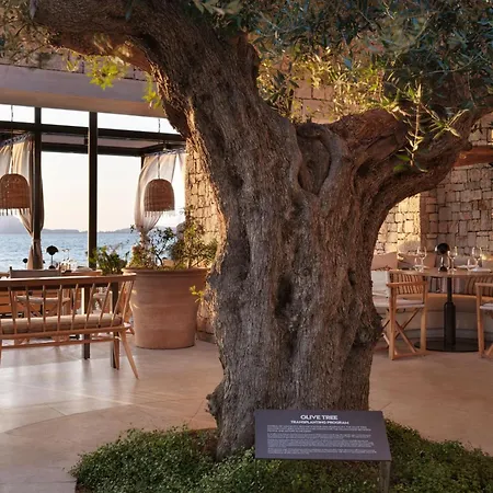 מלון W Costa Navarino (adults Only) 5*